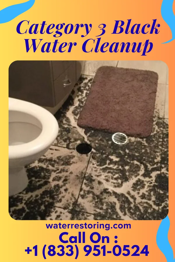 Category 3 Black Water Cleanup in Bowdon, GA