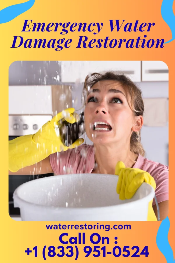 Emergency Water Damage Restoration in Bowdon, GA