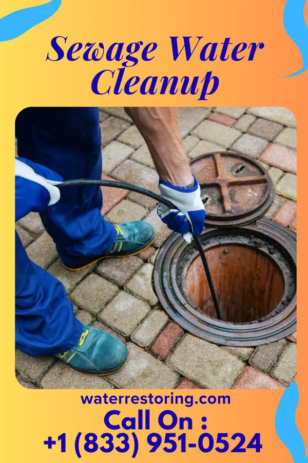 Sewage Water Cleanup in Bowdon, GA